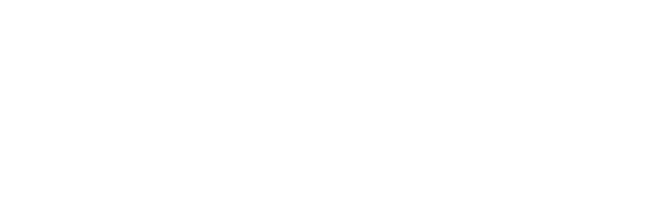 Pay.vip logo pro