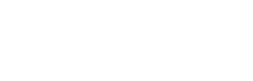 Pay.vip logo